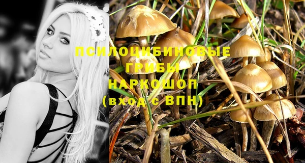 винт Артём