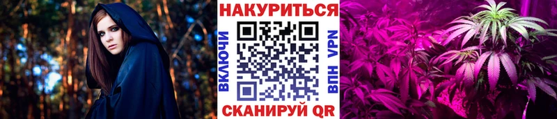 Бошки марихуана конопля Борзя
