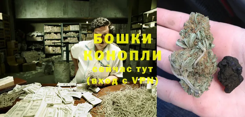 купить наркотики цена  Борзя  кракен ССЫЛКА  Бошки Шишки THC 21% 