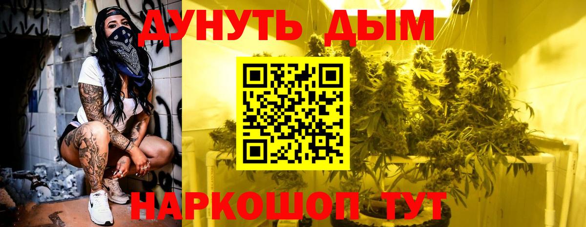 Шишки марихуана планчик  Вход с VPN  Борзя  Конопля MAZAR  Марихуана White Widow 